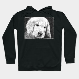 PARKER Hoodie